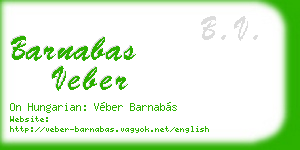 barnabas veber business card